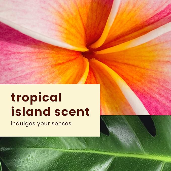 Hawaiian Tropic Everyday Active Clear Spray Sunscreen SPF 30, 6oz | Hawaiian Tropic Sunscreen SPF 30, Sunblock, Oxybenzone Free Sunscreen, Spray On Sunscreen, Body Sunscreen Spray, 6oz
