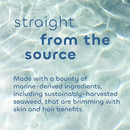 Seaweed Bath Co. Detox Body Scrub, Orange Cedar Scent, 6 Ounce, Sustainably Harvested Seaweed, French Sea Clay, Coffee Extract